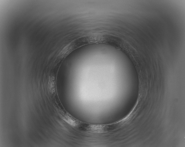 X0000052950144200507151719