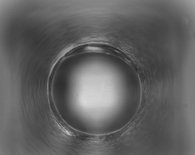 X0000052950148200507151718