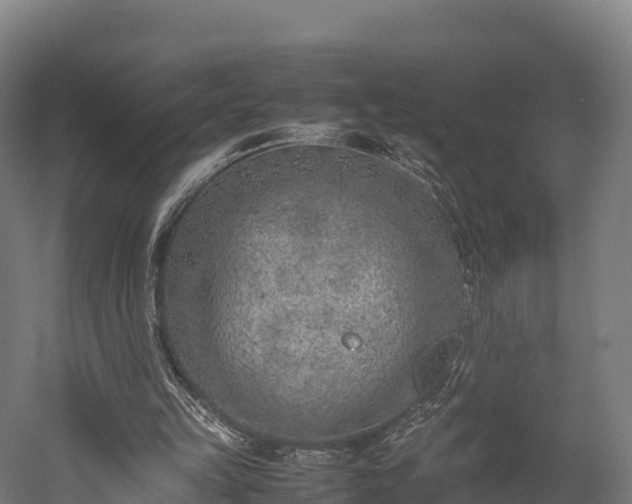 X0000052950149200507151718