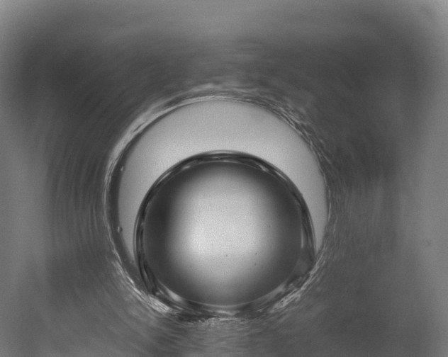 X0000052950150200507151718