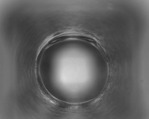 X0000052950152200507151718