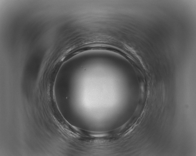 X0000052950154200507151718