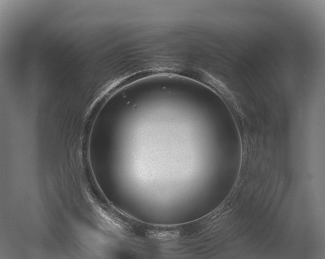 X0000052950155200507151718