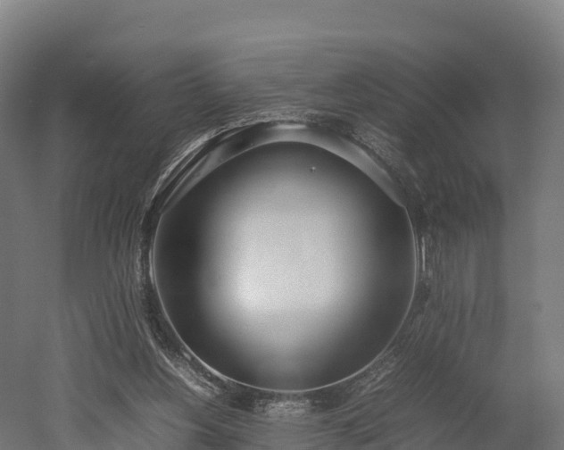 X0000052950156200507151718