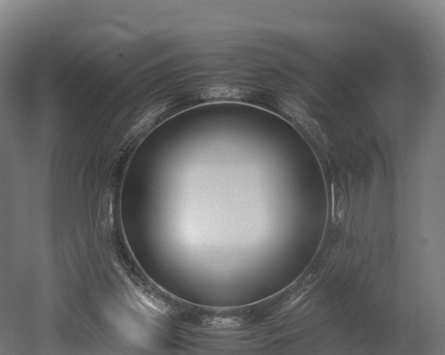 X0000052950157200507151718