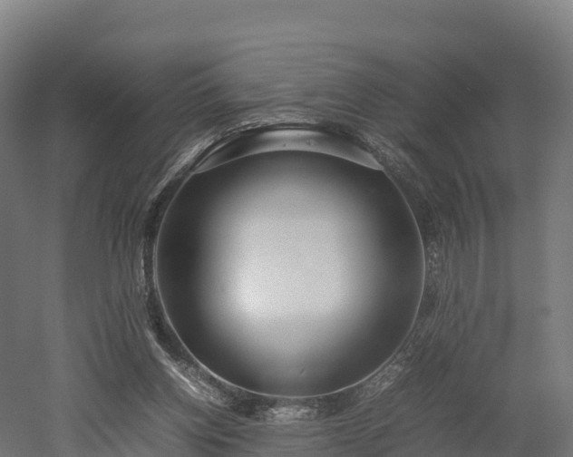 X0000052950158200507151718