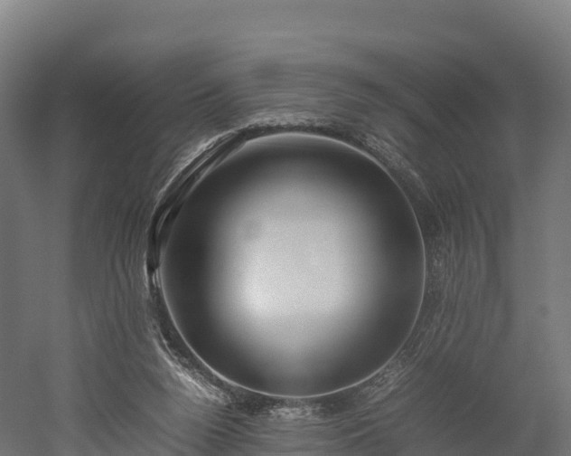 X0000052950160200507151718