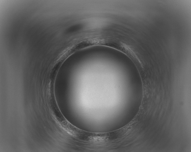 X0000052950163200507151718