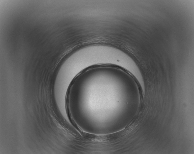 X0000052950164200507151718