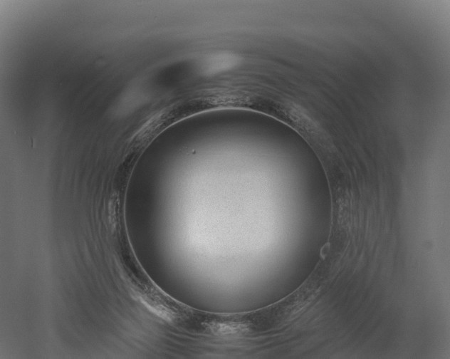 X0000052950165200507151719