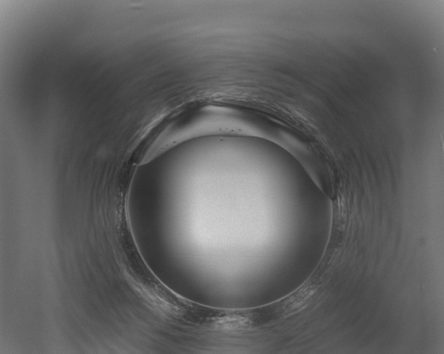 X0000052950168200507151719
