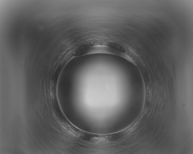 X0000052950170200507151719