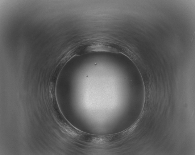 X0000052950174200507151719