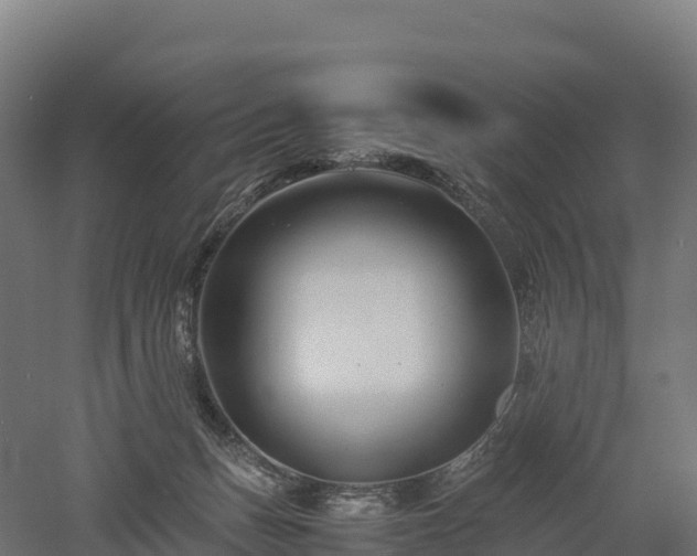 X0000052950175200507151719