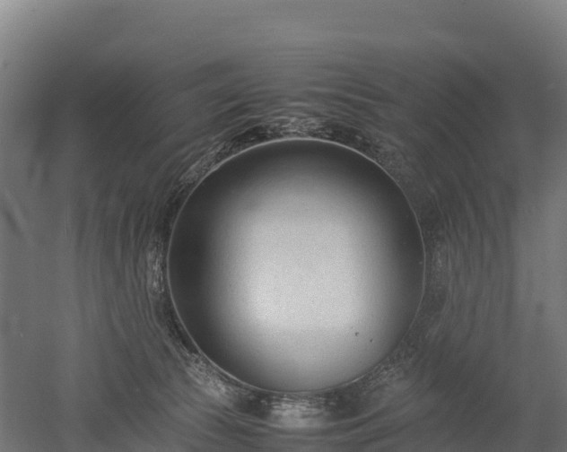 X0000052950177200507151719