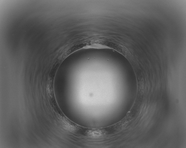 X0000052950181200507151719