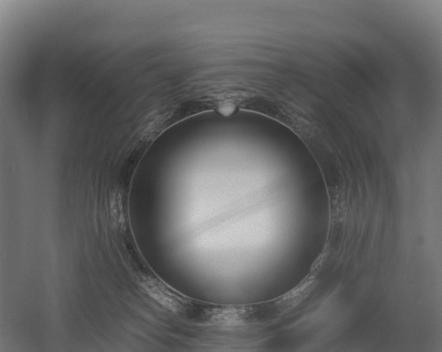 X0000052950182200507151719