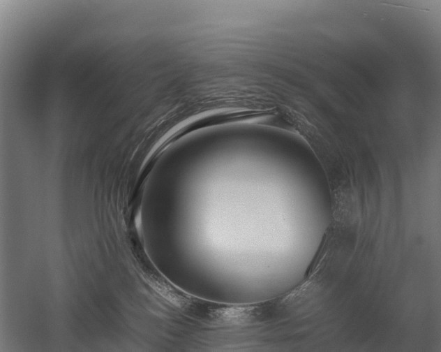X0000052950184200507151719