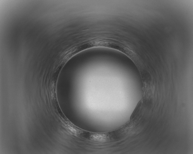 X0000052950189200507151719