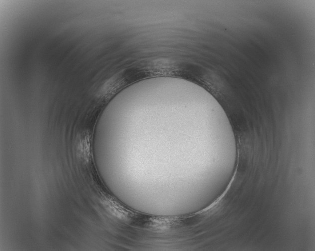 X0000052950190200507151719