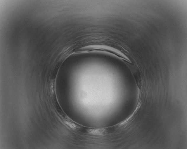 X0000052950191200507151719