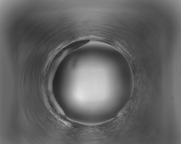 X0000052950193200507151718