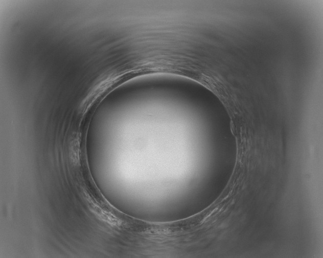 X0000052950194200507151718