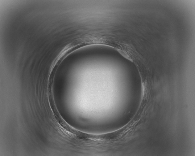 X0000052950195200507151718