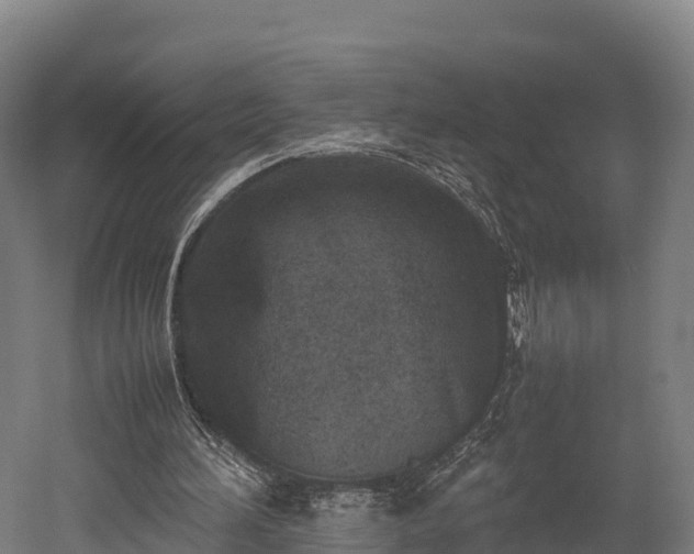 X0000052950196200507151718