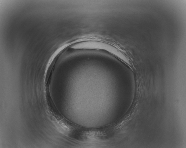 X0000052950200200507151718