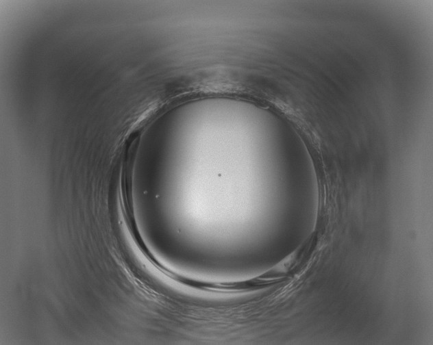 X0000052950201200507151718