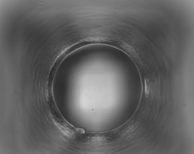 X0000052950204200507151718