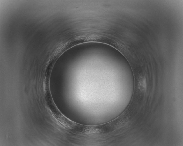 X0000052950206200507151718