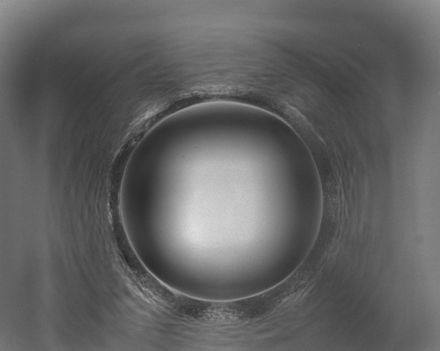 X0000052950207200507151718