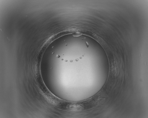 X0000052950208200507151718