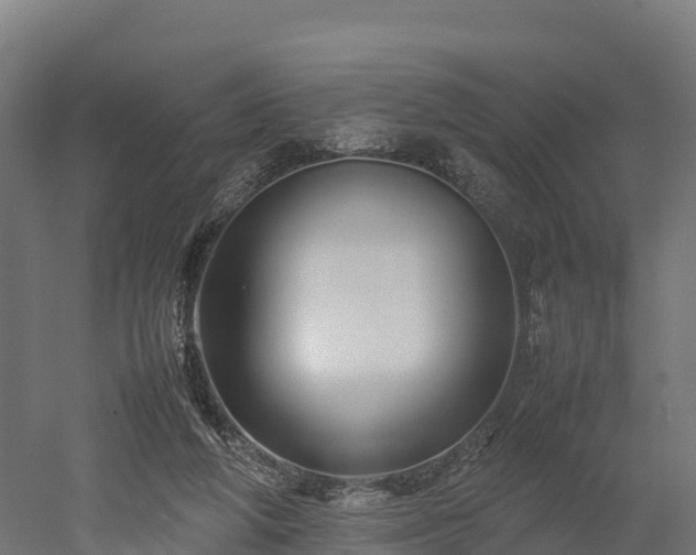 X0000052950210200507151718