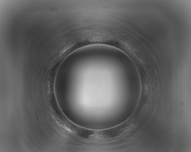 X0000052950211200507151718