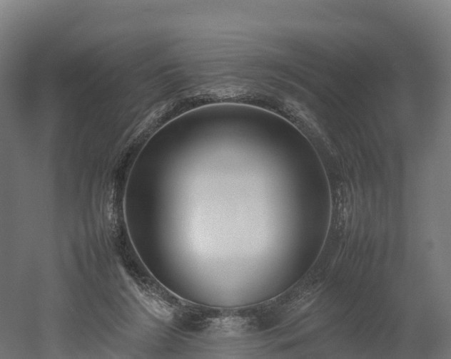 X0000052950212200507151718