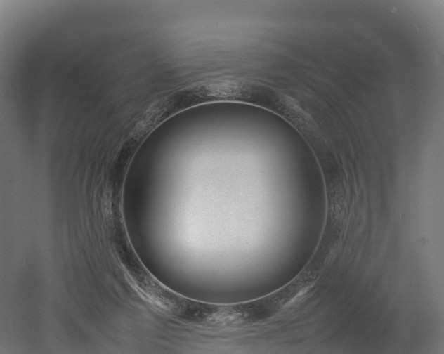 X0000052950213200507151718