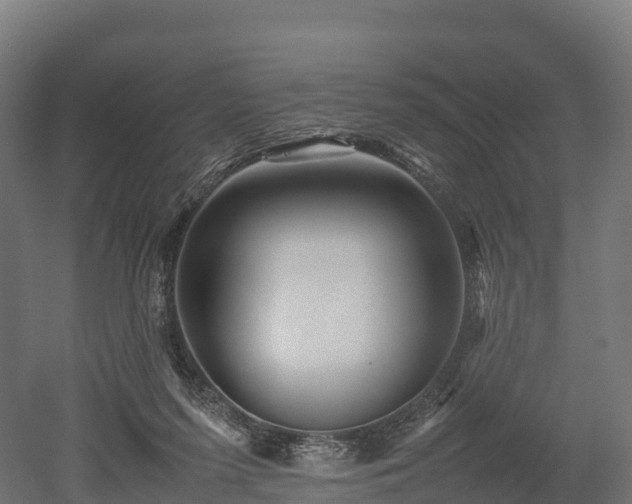 X0000052950215200507151718
