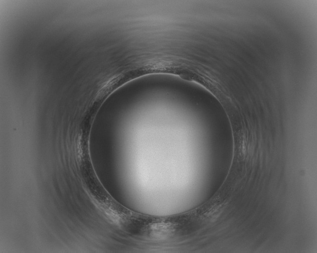 X0000052950216200507151718