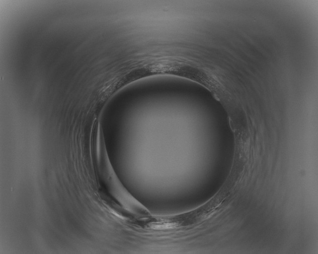 X0000052950219200507151718