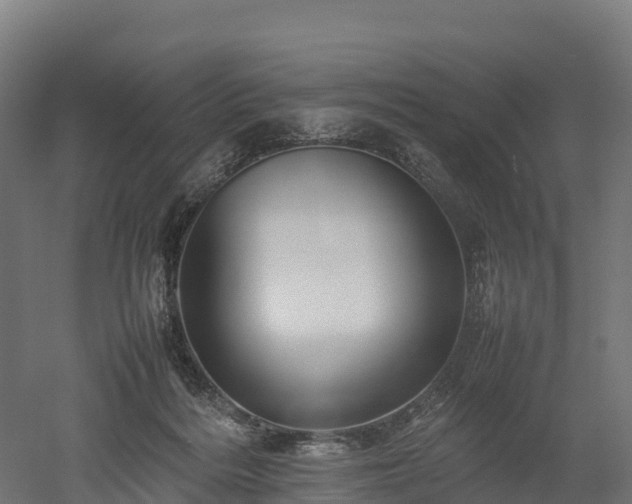 X0000052950220200507151718