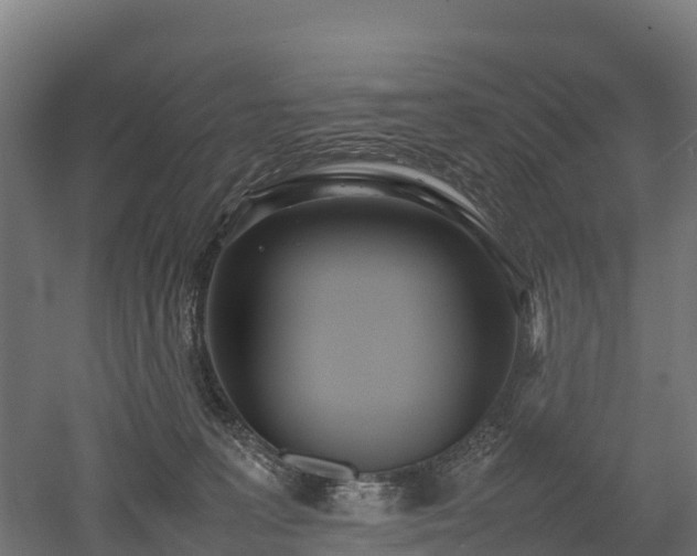 X0000052950227200507151718