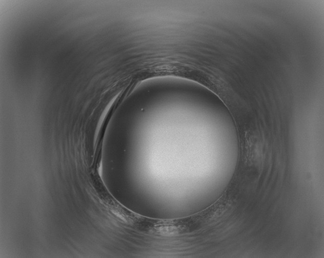 X0000052950228200507151718