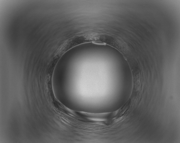 X0000052950229200507151718