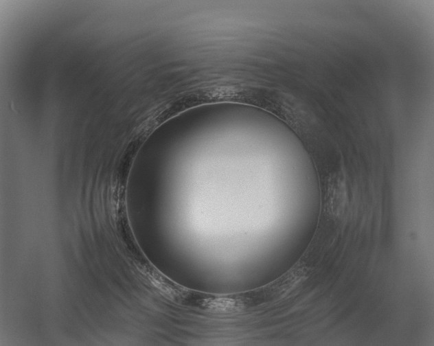 X0000052950230200507151718