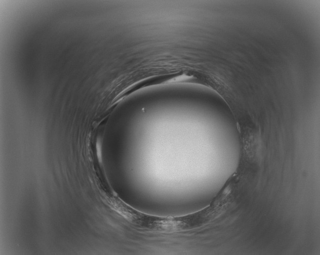 X0000052950233200507151717