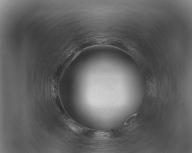 X0000052950234200507151717