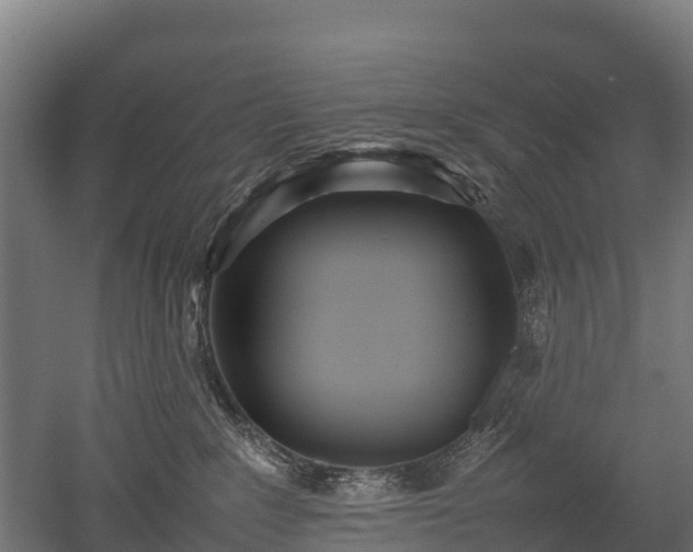 X0000052950235200507151717